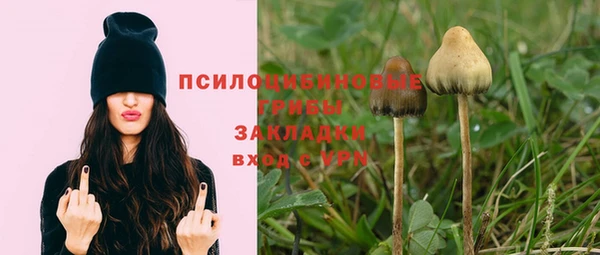 ешки Елабуга