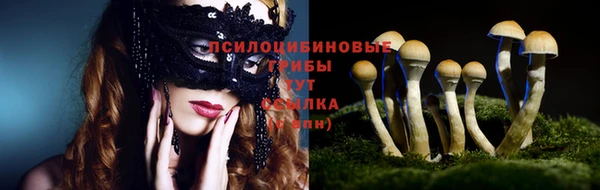 ешки Елабуга