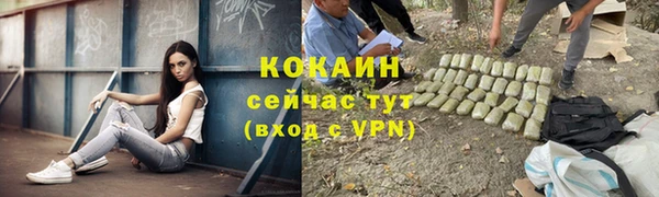 ешки Елабуга