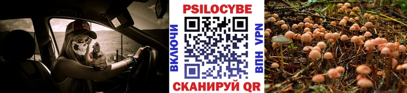 Купить  Теберда  Галлюциногенные грибы мухоморы 